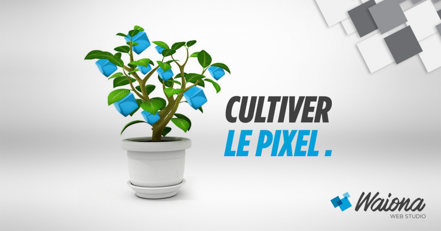 Waiona WebStudio, agence de communication digitale web et webmobile Lille, Paris, Rennes